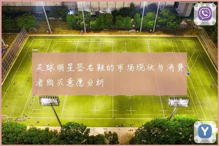 足球明星签名鞋的市场现状与消费者购买意愿分析