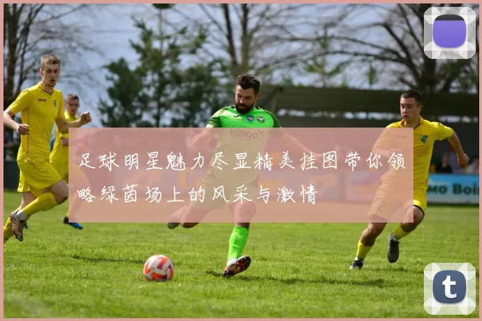 足球明星魅力尽显精美挂图带你领略绿茵场上的风采与激情
