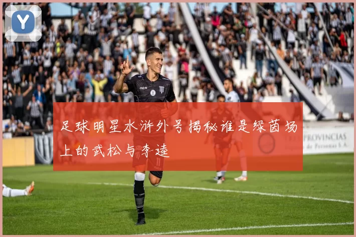 足球明星水浒外号揭秘谁是绿茵场上的武松与李逵