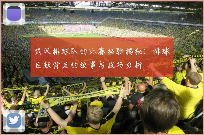 武汉排球队的比赛经验揭秘：排球巨献背后的故事与技巧分析