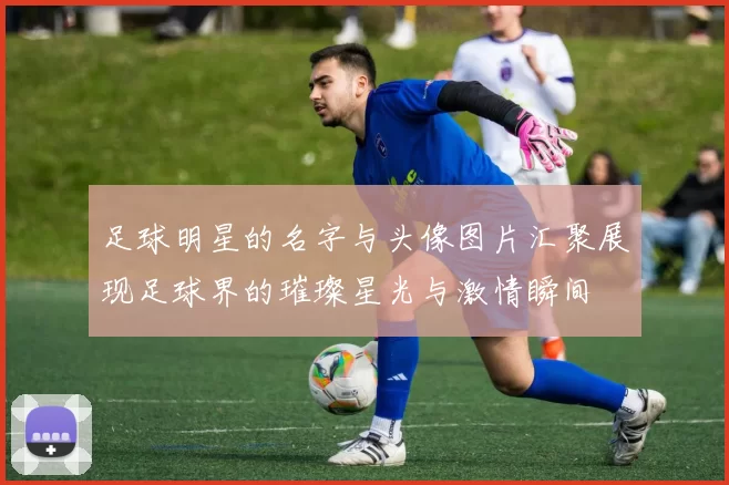 足球明星的名字与头像图片汇聚展现足球界的璀璨星光与激情瞬间