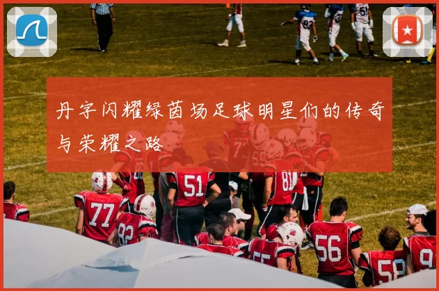 丹字闪耀绿茵场足球明星们的传奇与荣耀之路