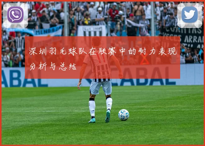 深圳羽毛球队在联赛中的耐力表现分析与总结