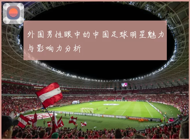 外国男性眼中的中国足球明星魅力与影响力分析