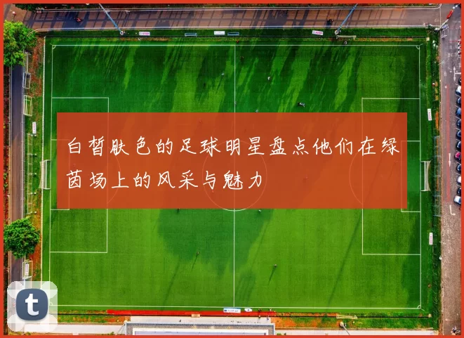 白皙肤色的足球明星盘点他们在绿茵场上的风采与魅力