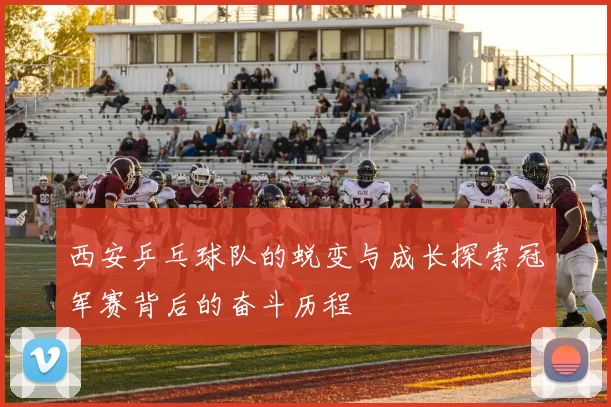 西安乒乓球队的蜕变与成长探索冠军赛背后的奋斗历程