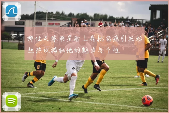 哪位足球明星脸上有桃花痣引发粉丝热议揭秘他的魅力与个性