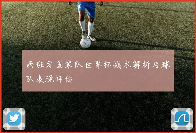 西班牙国家队世界杯战术解析与球队表现评估