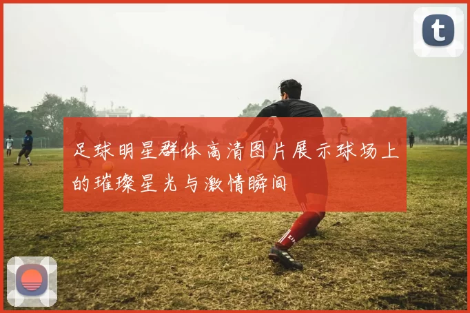 足球明星群体高清图片展示球场上的璀璨星光与激情瞬间