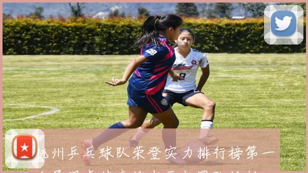 杭州乒乓球队荣登实力排行榜第一名展现卓越竞技水平与团队精神
