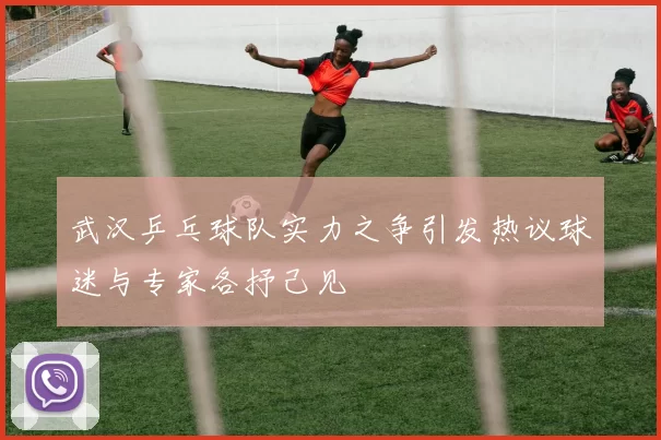 武汉乒乓球队实力之争引发热议球迷与专家各抒己见