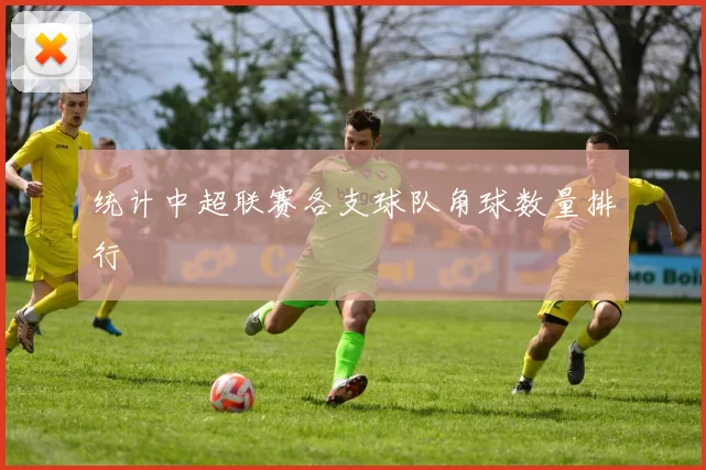 统计中超联赛各支球队角球数量排行