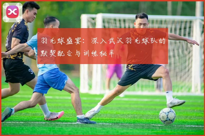 羽毛球盛宴：深入武汉羽毛球队的默契配合与训练秘辛
