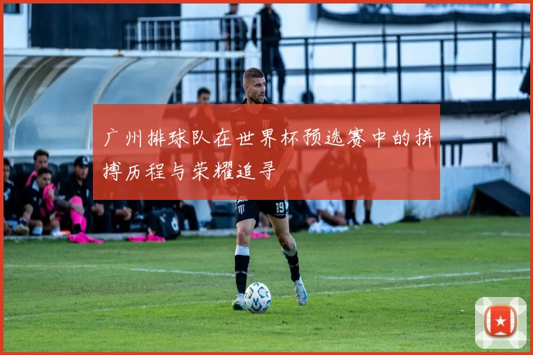 广州排球队在世界杯预选赛中的拼搏历程与荣耀追寻